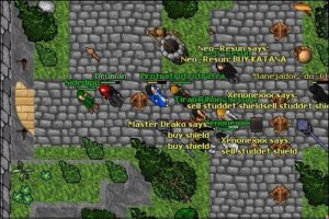 Uma análise sobre a história de Rookgaard - Tibia Stories